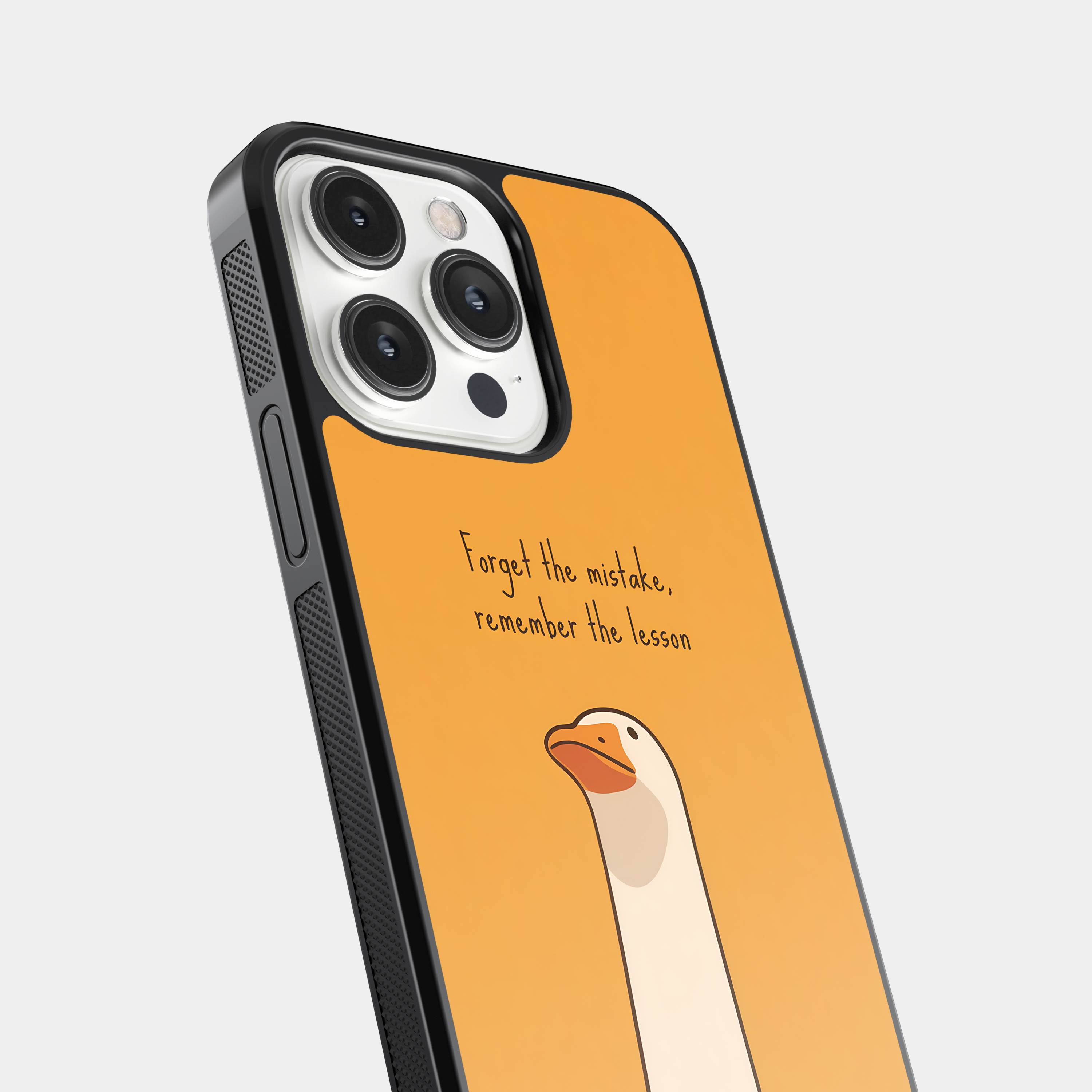 Forget the mistake Remember the Lesson - Wise Goose Quote