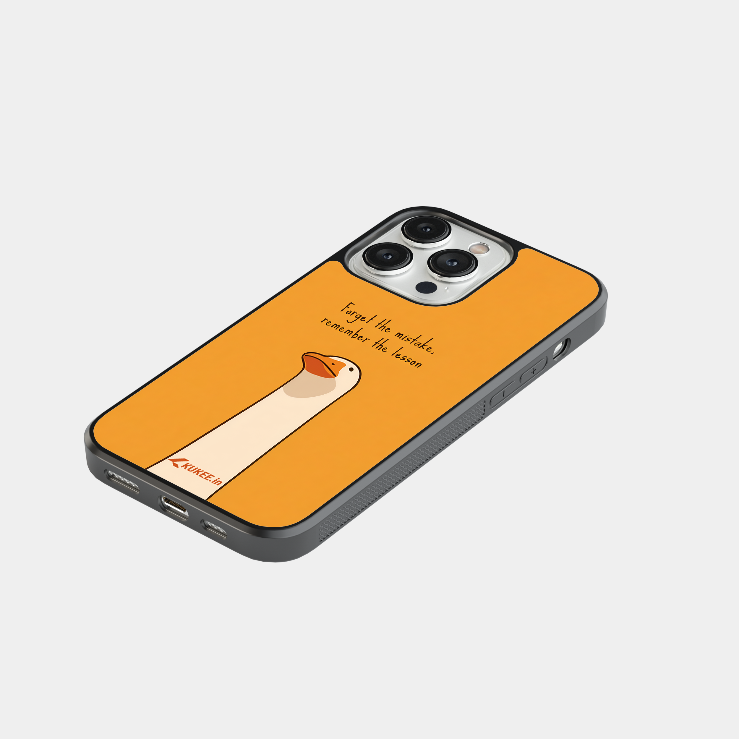 Forget the mistake Remember the Lesson - Wise Goose Quote