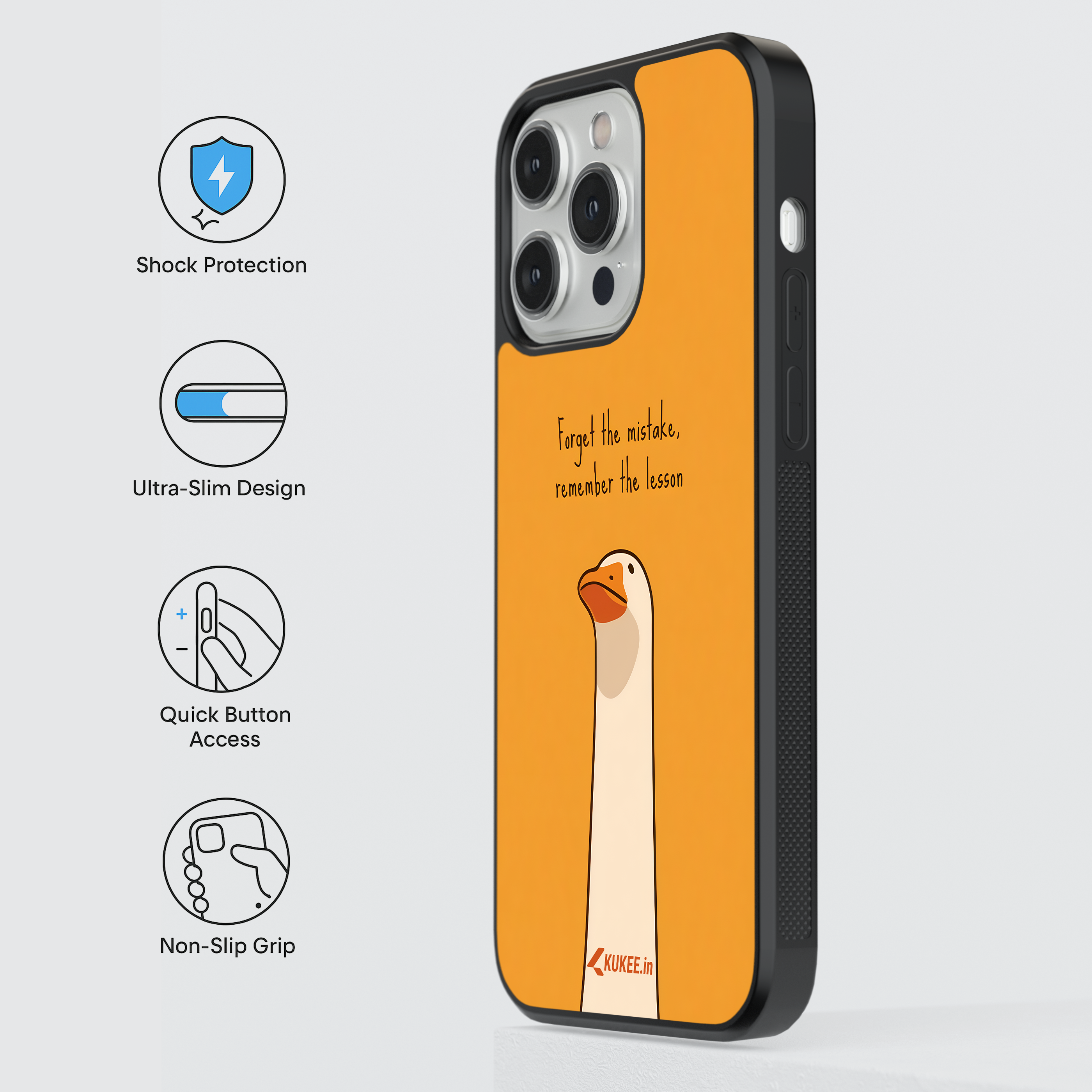 Forget the mistake Remember the Lesson - Wise Goose Quote