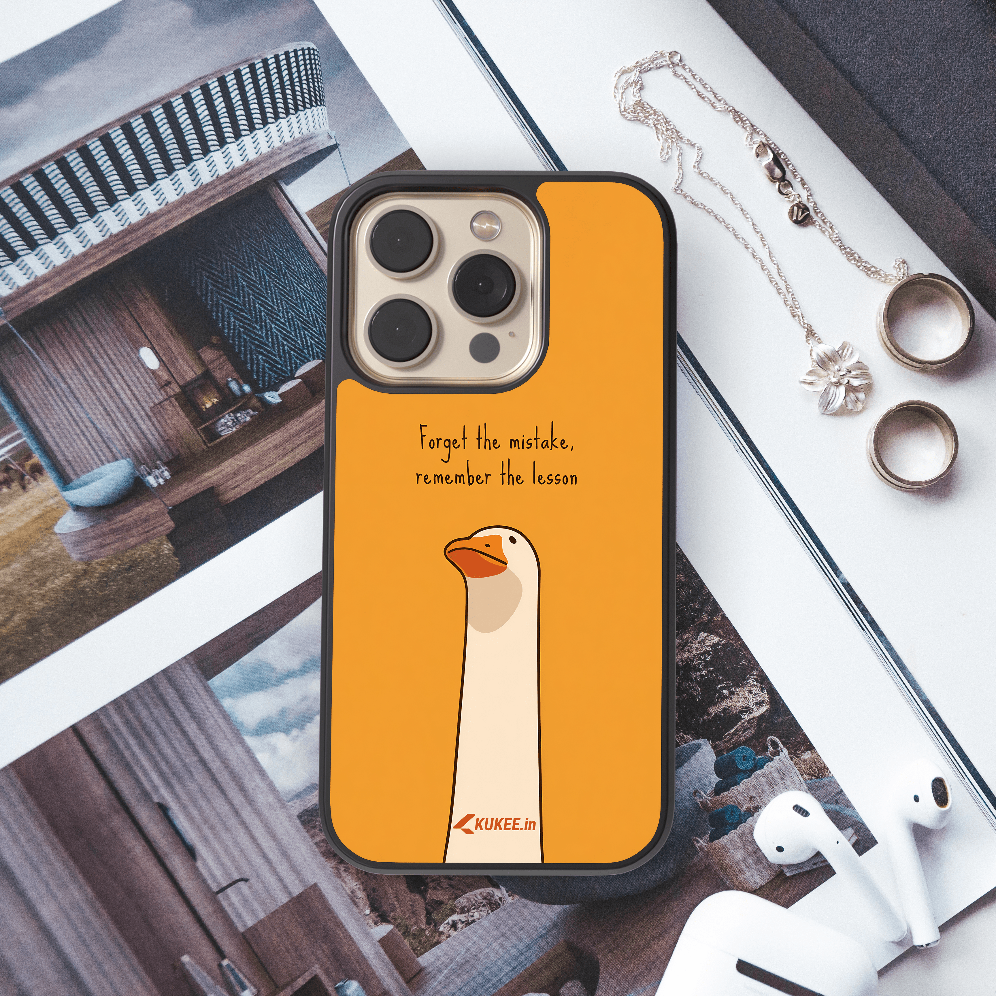 Forget the mistake Remember the Lesson - Wise Goose Quote